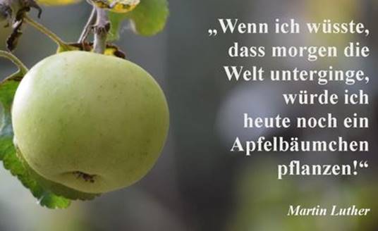 Bild knnte enthalten: Frucht und Essen, Text Wenn ich wsste, dass morgen die Welt unterginge, wrde ich heute noch ein Apfelbumchen pflanzen!" Martin Luther